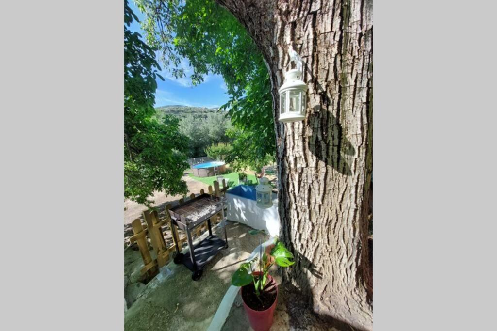 La Huerta Del Castillo Con Su Caz De Agua - Enjoy Life & Relax Castillo de Locubín المظهر الخارجي الصورة