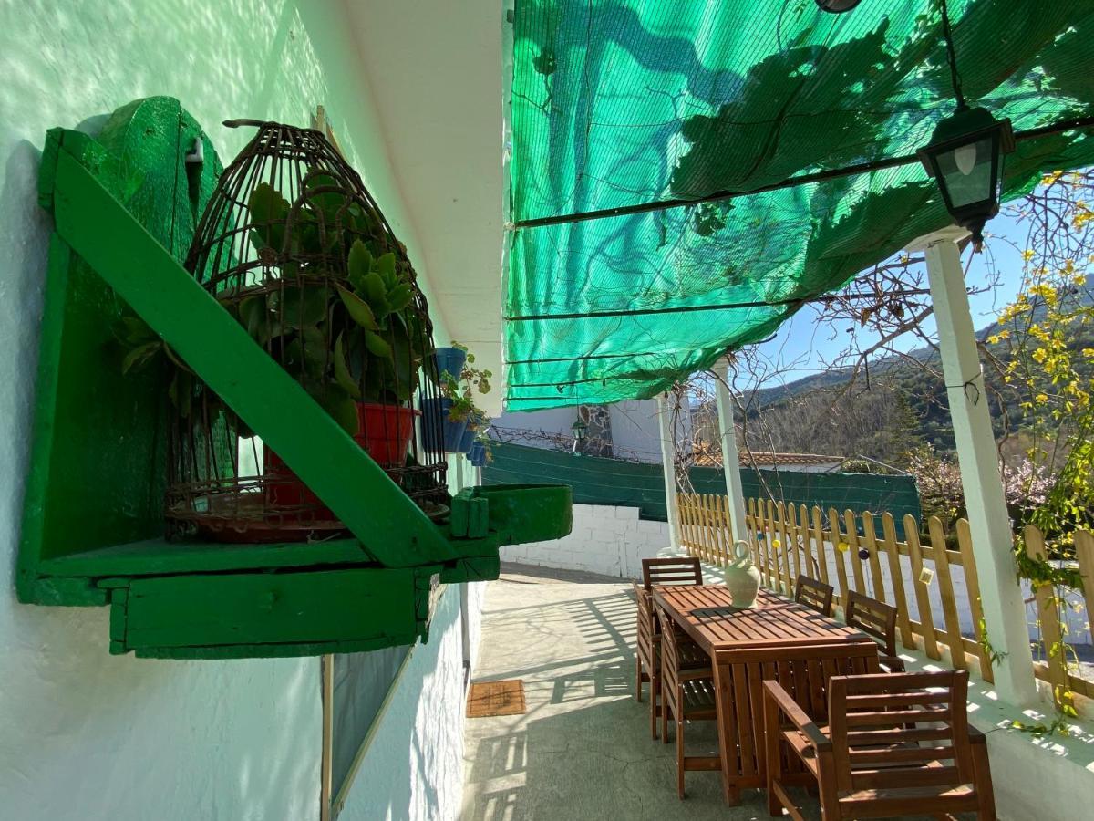 La Huerta Del Castillo Con Su Caz De Agua - Enjoy Life & Relax Castillo de Locubín المظهر الخارجي الصورة